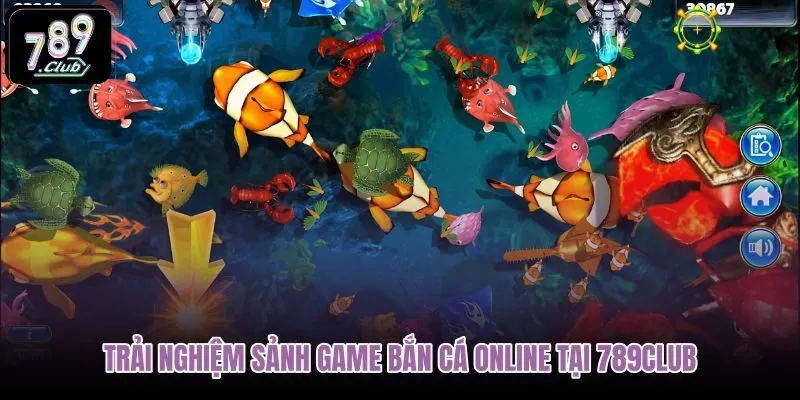 trai-nghiem-sanh-game-ban-ca-online-tai-789club trai-nghiem-sanh-game-ban-ca-online-tai-789club